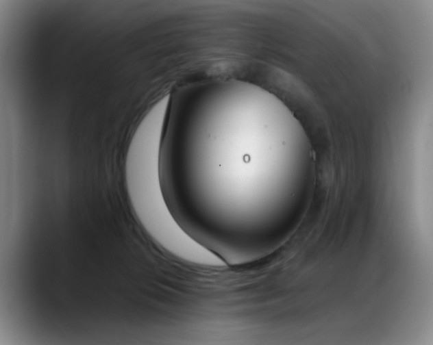 X0000089390276200706151227