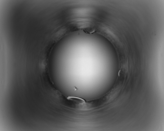 X0000089390277200706151227