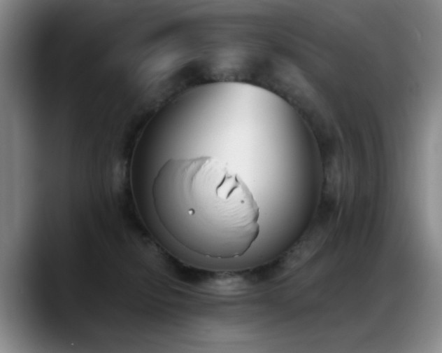 X0000089390278200706151227