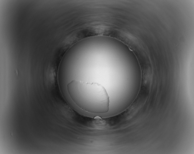 X0000089390279200706151227