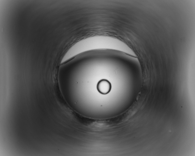 X0000089390280200706151227