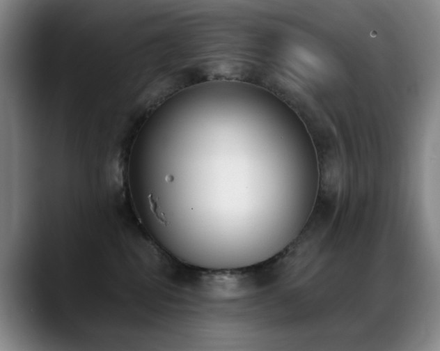 X0000089390282200706151228