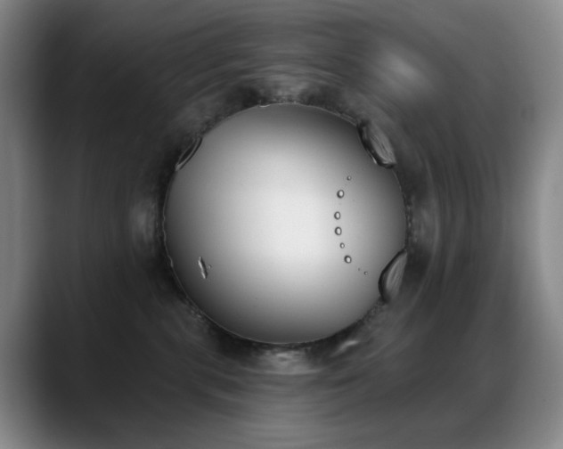 X0000089390283200706151228