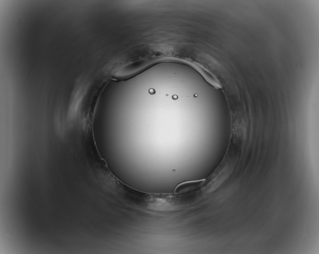 X0000089390285200706151228