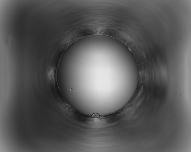 X0000089390286200706151228