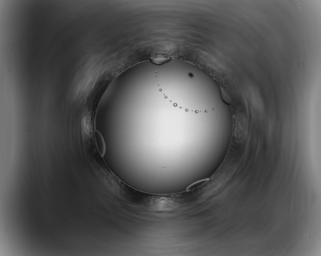 X0000089390287200706151228