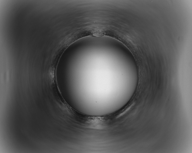 X0000089390288200706151228
