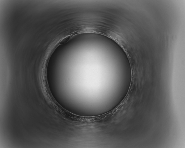 X0000089390289200706151227