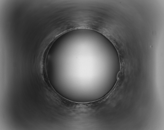 X0000089390290200706151227
