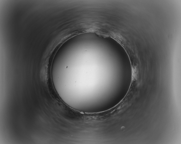 X0000089390291200706151227