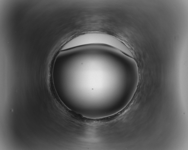 X0000089390293200706151227