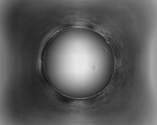 X0000089390294200706151227