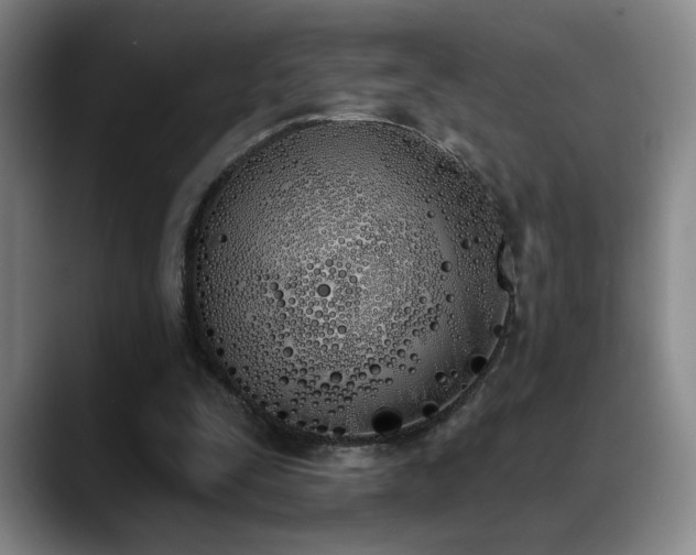 X0000089390295200706151227