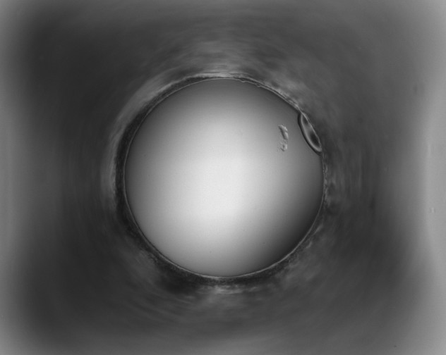 X0000089390296200706151227