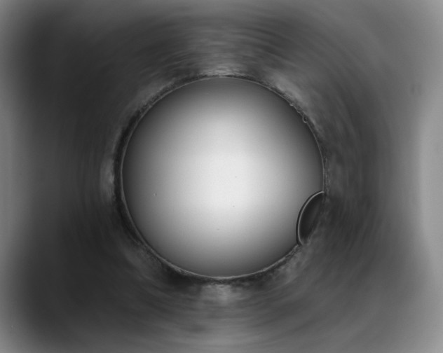 X0000089390298200706151227