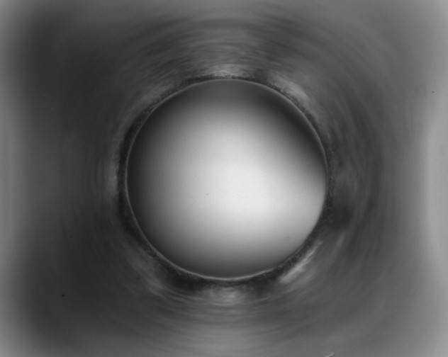 X0000089390299200706151227