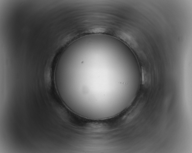 X0000089390300200706151227