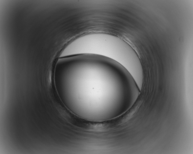 X0000089390301200706151227