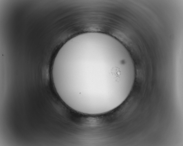 X0000089390302200706151227