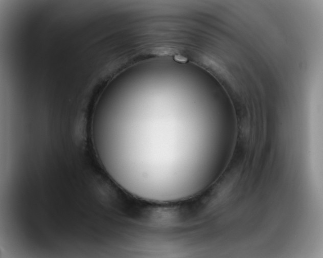 X0000089390303200706151227