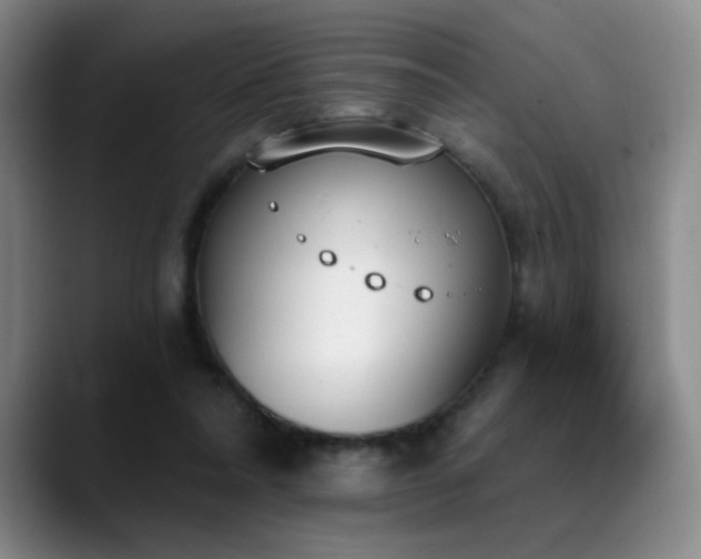 X0000089390304200706151227