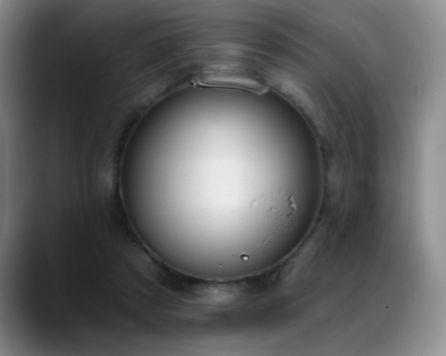 X0000089390305200706151227