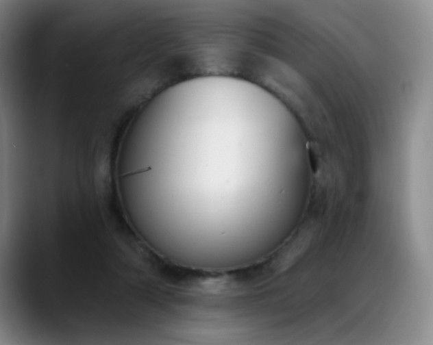 X0000089390306200706151227