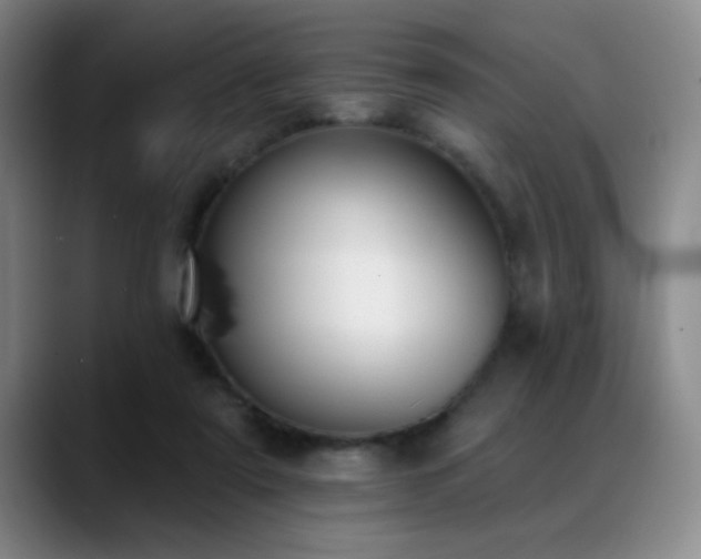 X0000089390307200706151227
