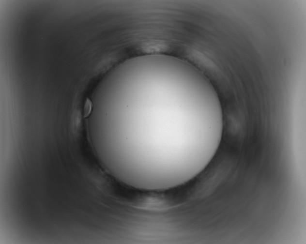 X0000089390308200706151227