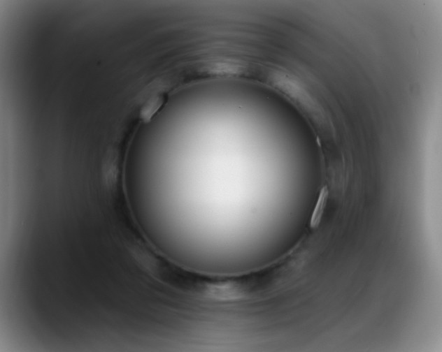 X0000089390309200706151227