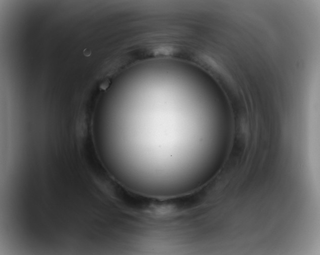 X0000089390311200706151227