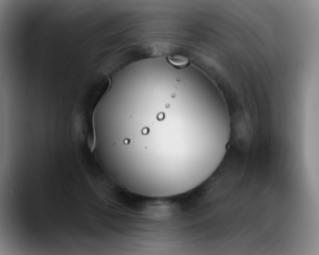 X0000089390316200706151227