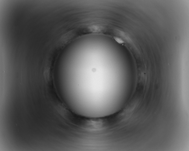X0000089390317200706151227