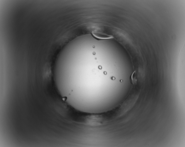 X0000089390320200706151227