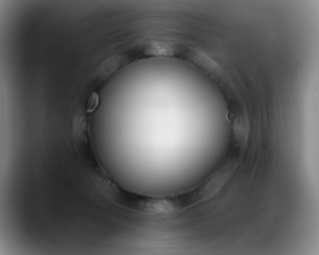 X0000089390322200706151227