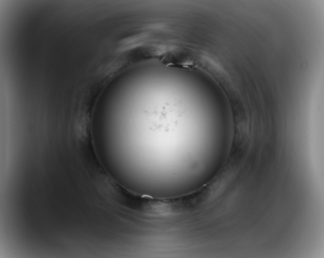X0000089390325200706151227