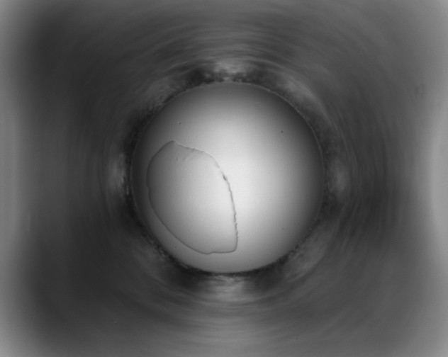 X0000089390328200706151227