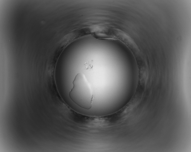 X0000089390329200706151227