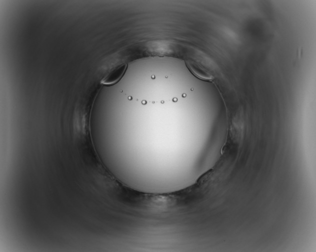 X0000089390330200706151227