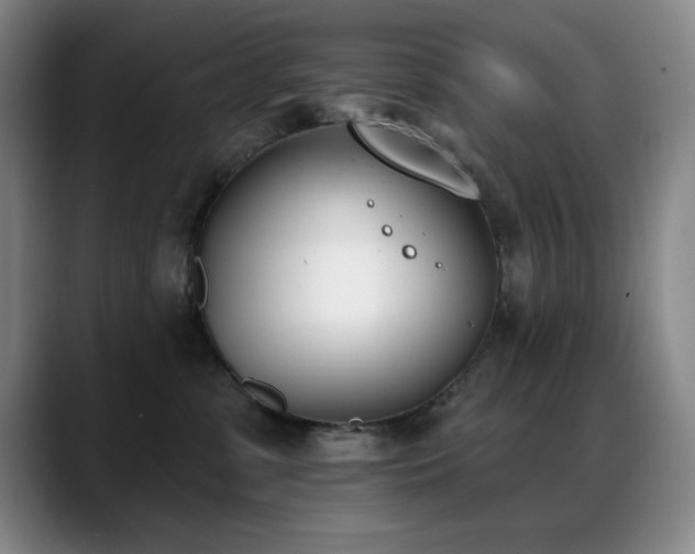 X0000089390331200706151227