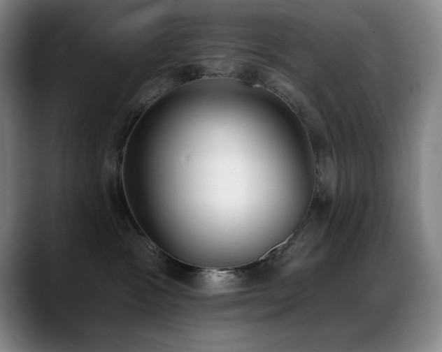 X0000089390333200706151227