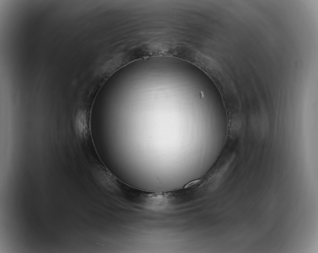 X0000089390335200706151226