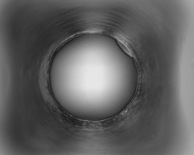 X0000089390337200706151226