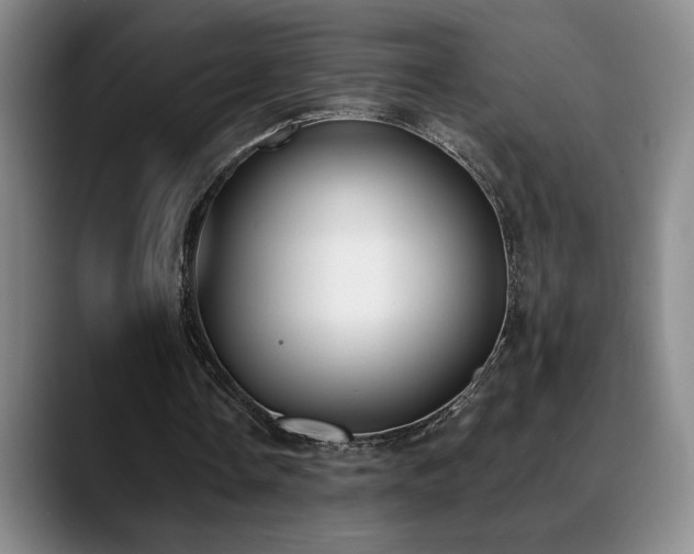 X0000089390338200706151226