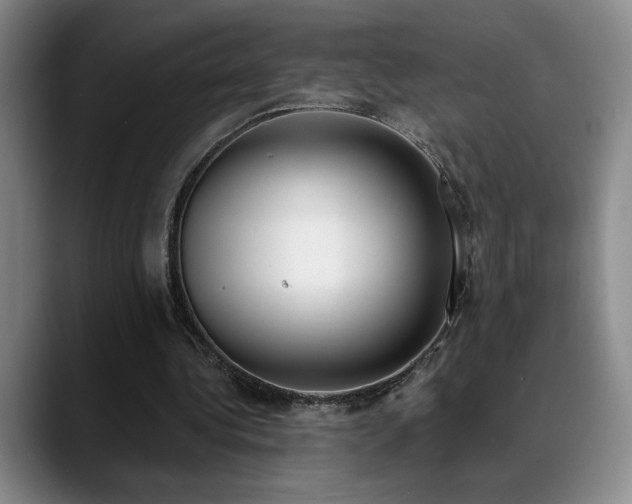 X0000089390340200706151226