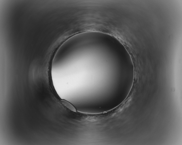 X0000089390341200706151226