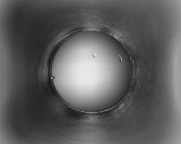 X0000089390343200706151226