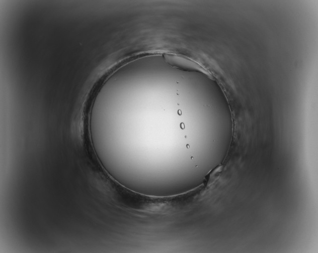 X0000089390344200706151226