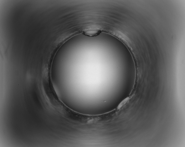 X0000089390345200706151226