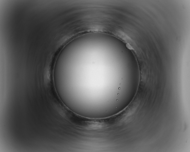X0000089390347200706151226